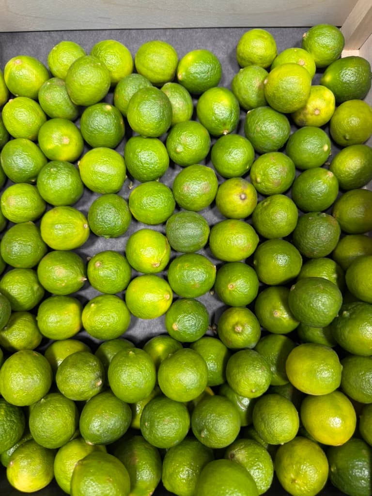 Limes
