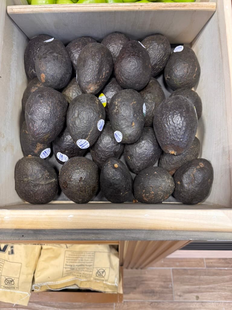 Avocado